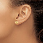Lataa kuva Galleria-katseluun, 14k Yellow Gold Sand Dollar Starfish Post Push Back Earrings
