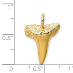 將圖片載入圖庫檢視器 14k Yellow Gold Shark Tooth Pendant Charm
