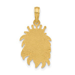 Kép betöltése a galériamegjelenítőbe: 14k Yellow Gold Lion Head with Crown Pendant Charm
