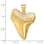 画像をギャラリービューアに読み込む, 14k Yellow Gold Shark Tooth 3D Large Pendant Charm
