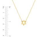 Load image into Gallery viewer, 14k Yellow Gold Mini Star of David Pendant Charm Necklace
