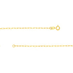 Lataa kuva Galleria-katseluun, 14K Yellow Gold Mini Shell Seashell Paper Clip Chain Necklace

