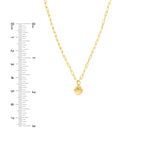 Indlæs billede til gallerivisning 14K Yellow Gold Mini Shell Seashell Paper Clip Chain Necklace
