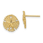 Afbeelding in Gallery-weergave laden, 14k Yellow Gold Sand Dollar Starfish Post Push Back Earrings
