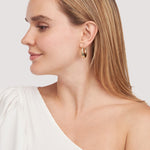 이미지를 갤러리 뷰어에 로드 , 14K Yellow Gold Graduated Puff Oval Hoop Earrings
