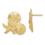 이미지를 갤러리 뷰어에 로드 , 14k Yellow Gold Sand Dollar Starfish Clam Scallop Shell Post Push Back Earrings
