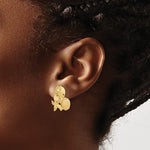 이미지를 갤러리 뷰어에 로드 , 14k Yellow Gold Sand Dollar Starfish Clam Scallop Shell Post Push Back Earrings
