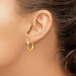 画像をギャラリービューアに読み込む, 10K Yellow Gold 19mm x 3mm Classic Round Hoop Earrings
