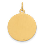 Lade das Bild in den Galerie-Viewer, 14k Yellow Gold Medical Caduceus Symbol Disc Pendant Charm
