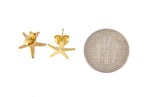 Carregar imagem no visualizador da galeria, 14k Yellow Gold Starfish Stud Post Push Back Earrings
