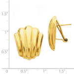 將圖片載入圖庫檢視器 14k Yellow Gold Shell Design Omega Back Post Earrings
