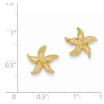 Загрузить изображение в средство просмотра галереи, 14k Yellow Gold Starfish Stud Post Push Back Earrings
