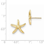 Carica l&#39;immagine nel visualizzatore di Gallery, 14k Yellow Gold Starfish Stud Post Push Back Earrings
