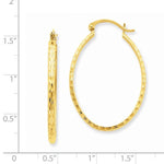 Lataa kuva Galleria-katseluun, 14k Yellow Gold Classic Large Textured Oval Hoop Earrings
