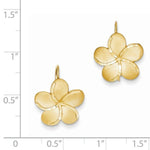 將圖片載入圖庫檢視器 14k Yellow Gold Plumeria Flower French Wire Dangle Earrings
