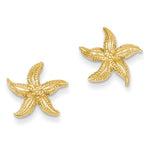 Загрузить изображение в средство просмотра галереи, 14k Yellow Gold Starfish Stud Post Push Back Earrings
