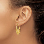 Kép betöltése a galériamegjelenítőbe: 14K Yellow Gold Shrimp Scalloped Hoop Earrings
