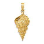 Indlæs billede til gallerivisning 14K Yellow Gold Conch Shell Seashell Ocean Sea Beach Life Pendant Charm
