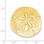 Kép betöltése a galériamegjelenítőbe: 14k Yellow Gold Sand Dollar Chain Slide Large Pendant Charm
