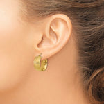 Kép betöltése a galériamegjelenítőbe: 14K Yellow Gold 19mmx18mmx8mm Modern Contemporary Round Hoop Earrings
