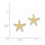 Carica l&#39;immagine nel visualizzatore di Gallery, 14k Yellow Gold Starfish Stud Post Push Back Earrings
