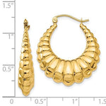 Charger l&#39;image dans la galerie, 14K Yellow Gold Shrimp Scalloped Hoop Earrings

