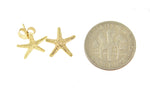 Indlæs billede til gallerivisning 14k Yellow Gold Starfish Stud Post Push Back Earrings
