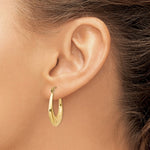 Indlæs billede til gallerivisning 14K Yellow Gold Shrimp Classic Hoop Earrings
