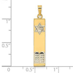 Afbeelding in Gallery-weergave laden, 14k Gold Two Tone Mezuzah Star of David Torah Pendant Charm
