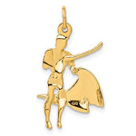 Carregar imagem no visualizador da galeria, 14K Yellow Gold Matador Bullfighter Pendant Charm

