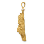 Załaduj obraz do przeglądarki galerii, 14K Yellow Gold Tiger Head Diamond Cut Large Pendant Charm
