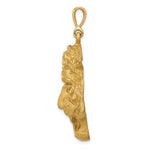 Kép betöltése a galériamegjelenítőbe: 14K Yellow Gold Tiger Head Diamond Cut Large Pendant Charm
