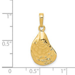 Cargar imagen en el visor de la galería, 14k Yellow Gold Oyster Shell Seashell Pendant Charm
