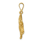 Afbeelding in Gallery-weergave laden, 14K Yellow Gold Tiger Large Pendant Charm
