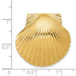 画像をギャラリービューアに読み込む, 14k Yellow Gold Seashell Clam Scallop Shell Chain Slide Pendant Charm
