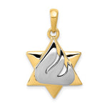 Charger l&#39;image dans la galerie, 14k Yellow White Gold Two Tone Star of David Pendant Charm
