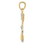 Kép betöltése a galériamegjelenítőbe: 14k Yellow Gold Rhodium Two Tone Anchor with Rope Pendant Charm
