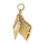 Cargar imagen en el visor de la galería, 14k Yellow Gold Enamel Rainbow Peace Dove John 3:16 Book 3D Pendant Charm
