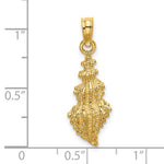 Lataa kuva Galleria-katseluun, 14k Yellow Gold Conch Shell Seashell Pendant Charm
