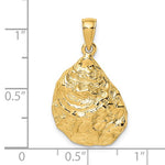 Cargar imagen en el visor de la galería, 14k Yellow Gold Oyster Shell Seashell Pendant Charm
