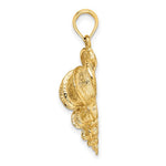 画像をギャラリービューアに読み込む, 14k Yellow Gold Wentletrap Shell Seashell Pendant Charm
