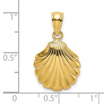 Afbeelding in Gallery-weergave laden, 14k Yellow Gold Seashell Scallop Shell Clamshell Pendant Charm
