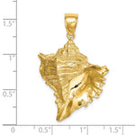 Lataa kuva Galleria-katseluun, 14k Yellow Gold Conch Shell Seashell Pendant Charm
