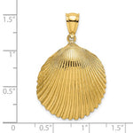 Kép betöltése a galériamegjelenítőbe: 14k Yellow Gold Seashell Scallop Shell Clamshell Pendant Charm
