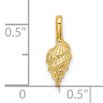 Kép betöltése a galériamegjelenítőbe: 14k Yellow Gold Conch Shell Seashell Tiny Mini Pendant Charm
