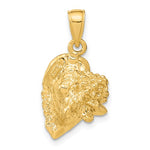 Lataa kuva Galleria-katseluun, 14k Yellow Gold Conch Shell Seashell 3D Pendant Charm
