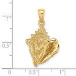 Carica l&#39;immagine nel visualizzatore di Gallery, 14k Yellow Gold Conch Shell Seashell Pendant Charm
