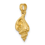 Charger l&#39;image dans la galerie, 14k Yellow Gold Conch Shell Seashell 3D Small Pendant Charm
