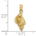 画像をギャラリービューアに読み込む, 14k Yellow Gold Conch Shell Seashell 3D Small Pendant Charm
