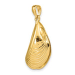 Kép betöltése a galériamegjelenítőbe: 14k Yellow Gold Mussel Shell 3D Pendant Charm
